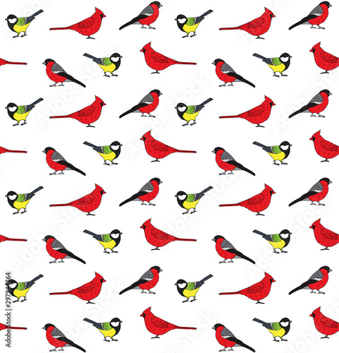 Vector seamless pattern of hand drawn doodle sketch little birds isolated on white background
