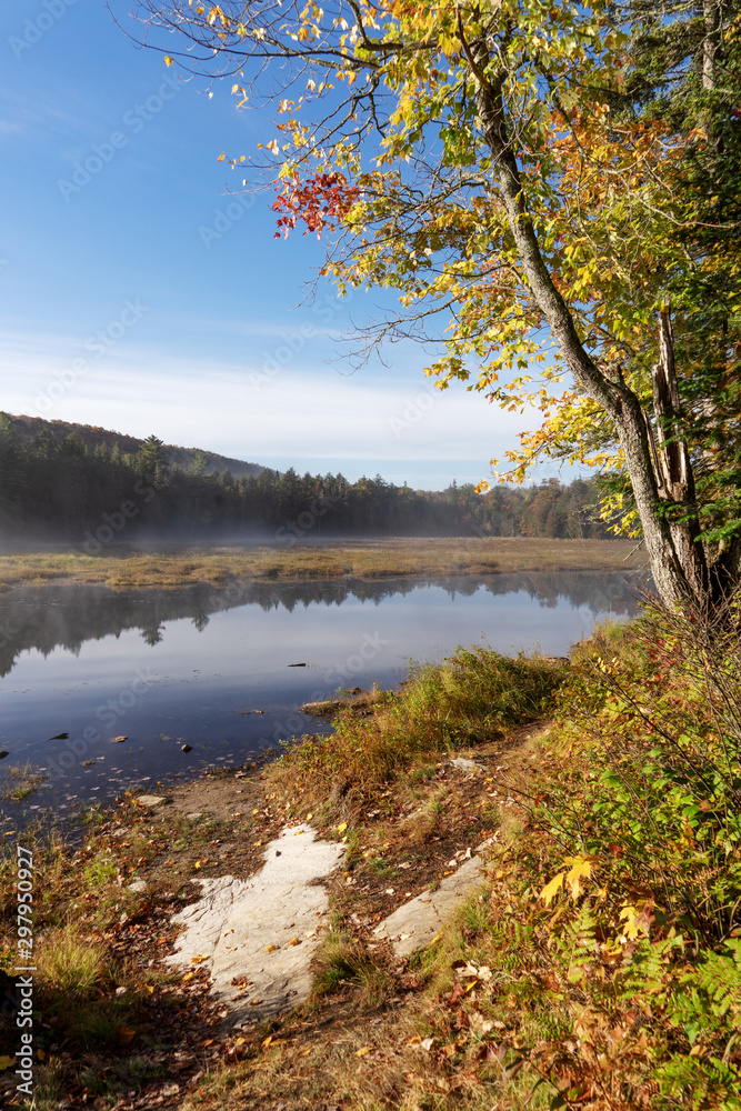 Foggy atmosphere at the lake in Algonquin national park. Ontario. Canada Foggy atmosphere at the lake in Algonquin national park. Ontario. Canada