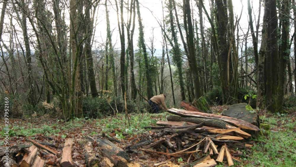Axe murderer man in the woods doing dodgy axe on something not seen. Axe murderer man in the woods doing dodgy axe on something not seen.