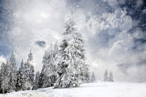 magical Christmas card with fairy tale winter landscape with snow covered firs