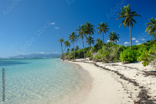 Plage de sable fin et cocotiers, Guadeloupe, France © cthoquenne