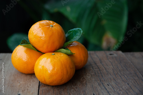 Four oranges and leaves stacked on an old wooden floor The background is green ornamental plants.