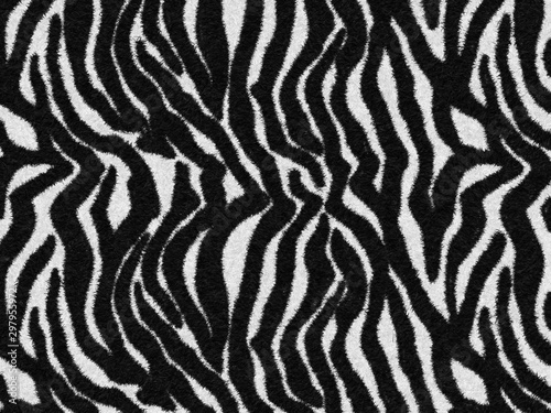 Black-white Tiger print Fur texture  carpet animal skin background  black and white theme color  look smooth  fluffy and soft  fashion clothes textile concept. Design by using photoshop brush.
