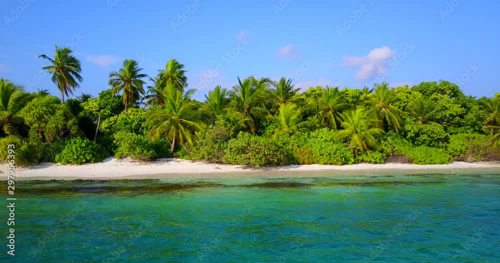 tropical island with coconut palm forest in the turquoise crystal clear waters of Caribbean Sea tropical island with coconut palm forest in the turquoise crystal clear waters of Caribbean Sea