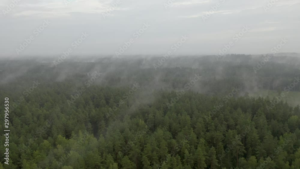 Drone flight over a misty forest at dusk