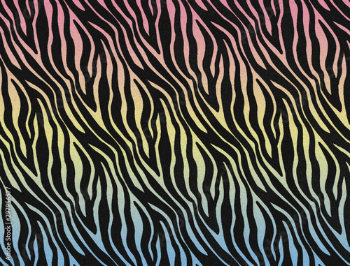 Multi-Color pastel Zebra fur skin pattern  zebra hairy background  black and rainbow pastel texture  smooth and soft  design the graphic. Animal print concept.