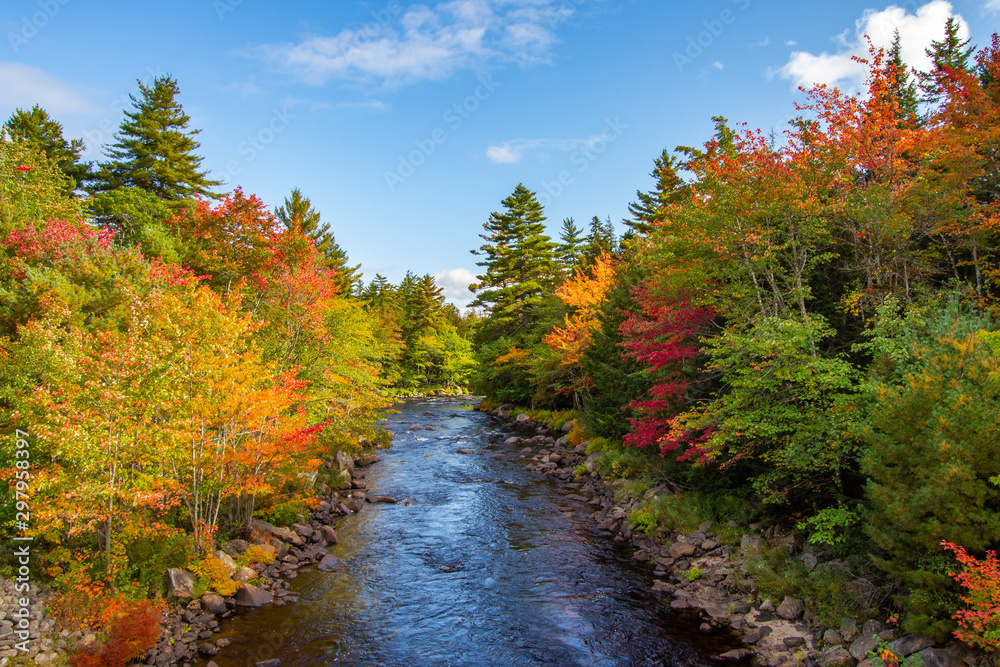 Fall Foliage 1