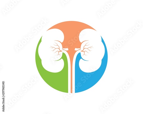 kidney icon vector illustration design