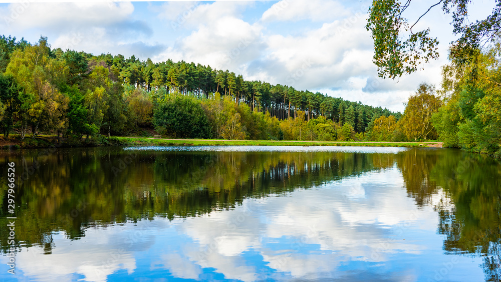Landscape picture in Cannock Chase showing forest and lake 