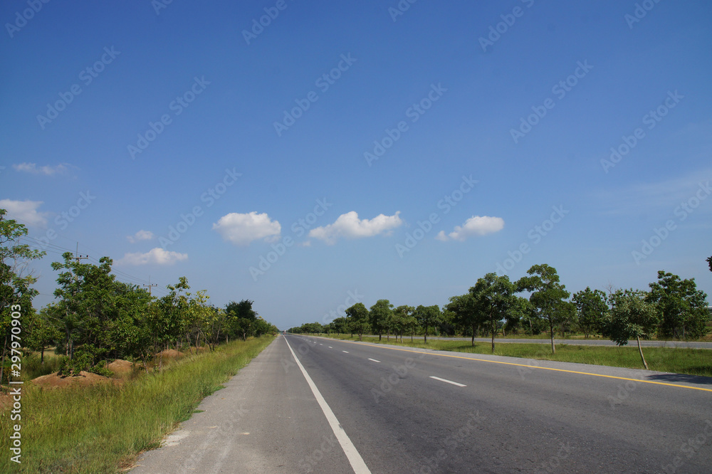 roadside trees see the blue sky, white clouds roadside trees see the blue sky, white clouds