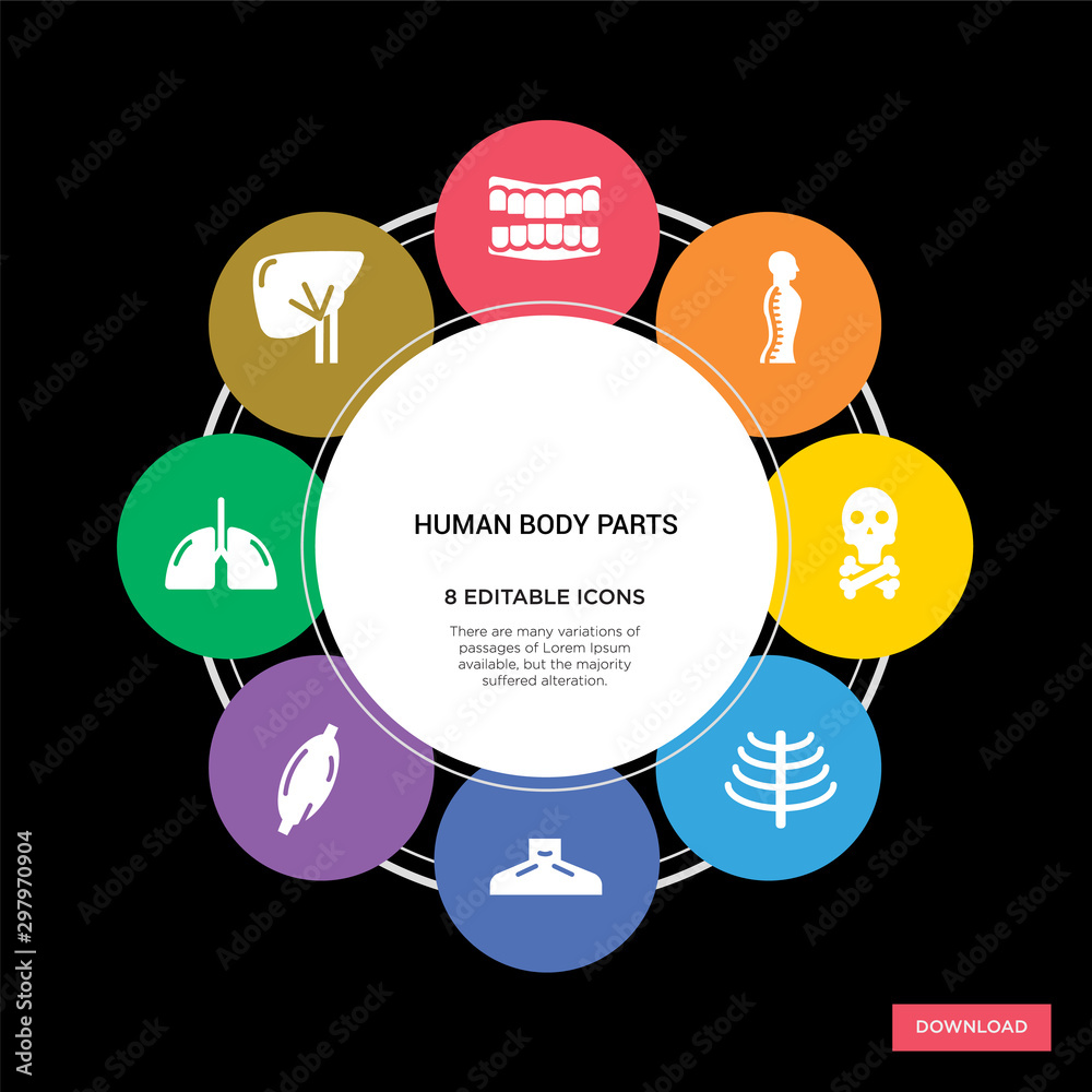 Foto 8 human body parts concept icons infographic design
