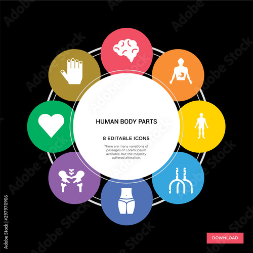 8 human body parts concept icons infographic design. human body parts concept infographic design on black background