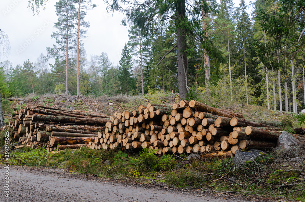 Timberstacks, renewable resources by roadside Timberstacks, renewable resources by roadside