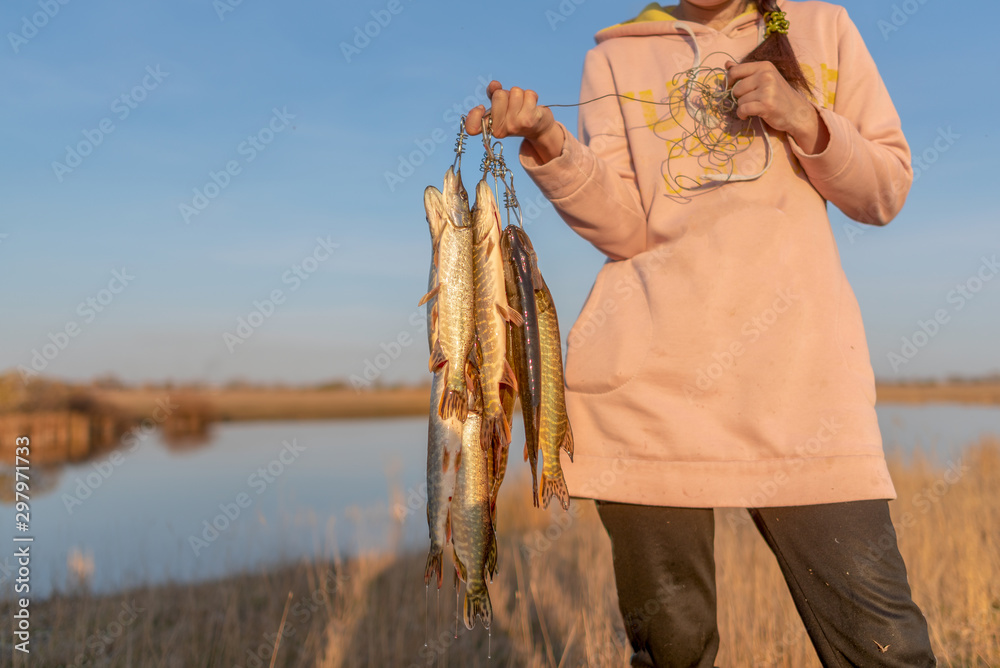 Yakut girl fisherman hard holds in the hands of many caught fish