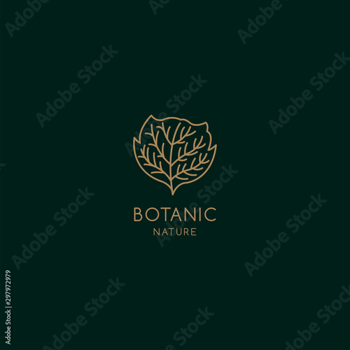 Tropical plant logos. Leaf symbol in linear style. Abstract leaf badge vector for natural product design, florists, cosmetics, floristics, ecology, health, medicine, healthy food