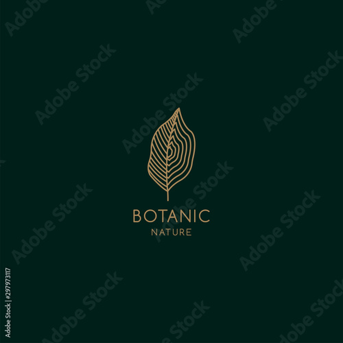 Tropical plant logos. Leaf symbol in linear style. Abstract leaf badge vector for natural product design, florists, cosmetics, floristics, ecology, health, medicine, healthy food