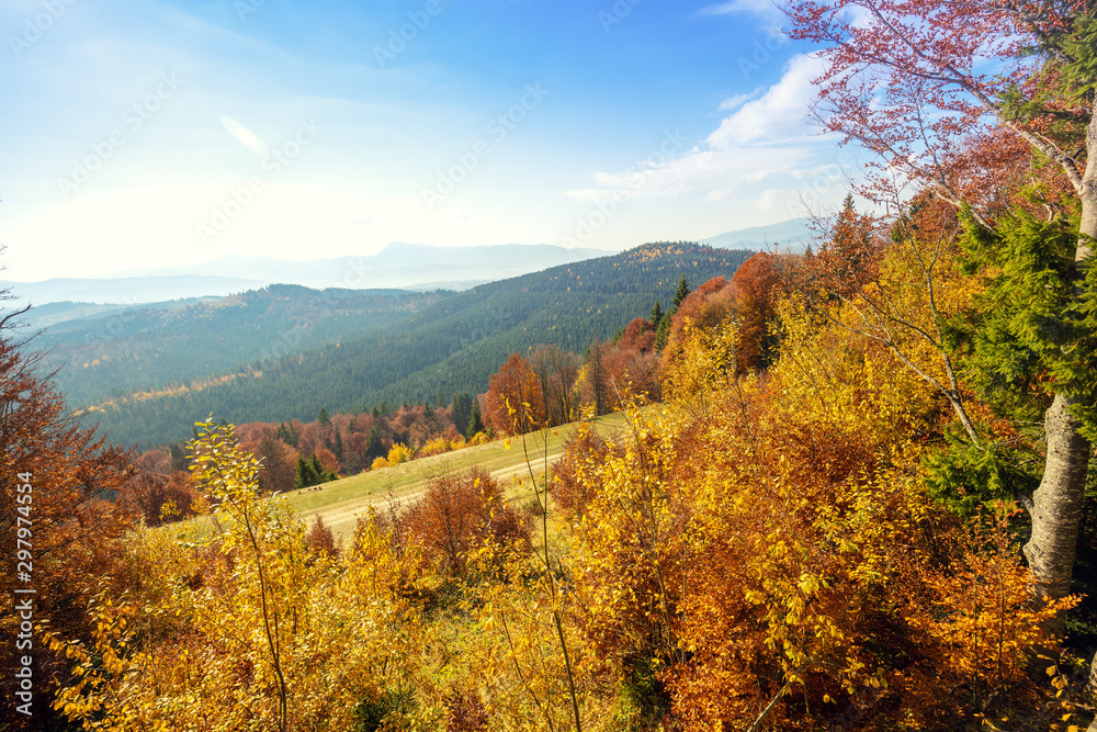 Autumn in the mountains. Panoramic view of the mountains and the valley in autumn. Beautiful nature landscape. Carpathian mountains. Bukovel, Ukraine