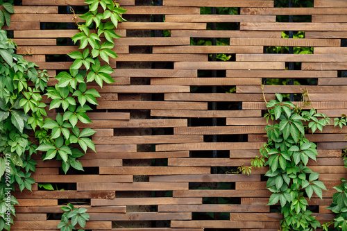 brown wooden background with foliage photo