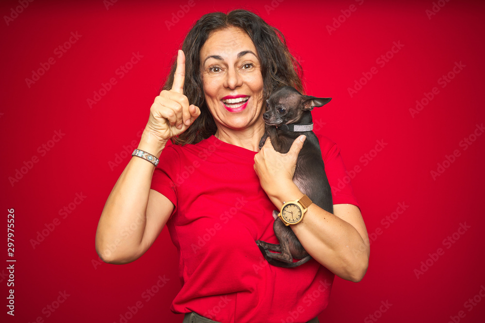 Middle age senior woman holding cute chihuahua dog over red isolated background surprised with an idea or question pointing finger with happy face, number one Middle age senior woman holding cute chihuahua dog over red isolated background surprised with an idea or question pointing finger with happy face, number one