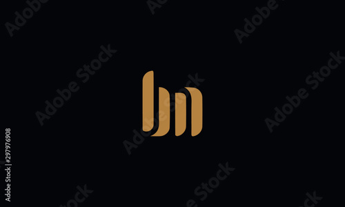 BN logo design template vector illustration minimal design