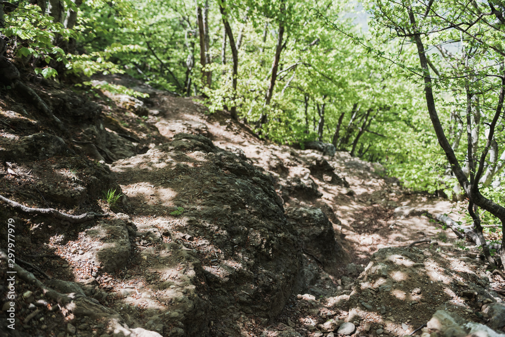 Hiking pathway- journey through roads, mystical nature