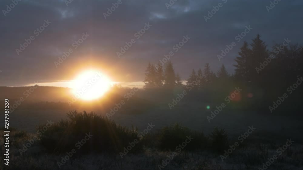 Sunrise/dawn on misty morning, with frost-covered grass and silhouetted trees. Sunrise/dawn on misty morning, with frost-covered grass and silhouetted trees.