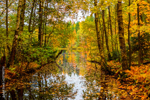 Beautiful autumn landscape. Reflection of the autumn forest in the lake. © alurk