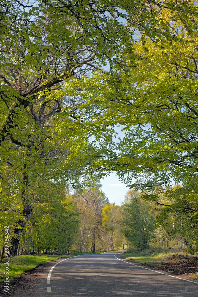 A beautiful single track road in Scotland A beautiful single track road in Scotland