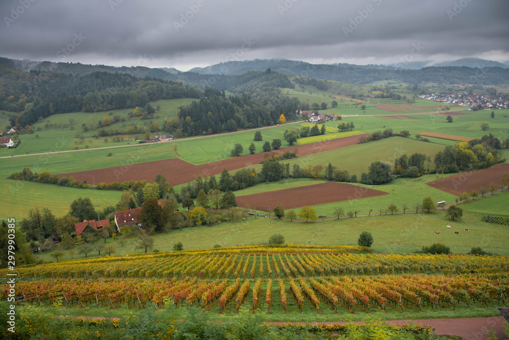 Obraz premium Blick von der Hochburg in Emmendingen im Schwarzwald