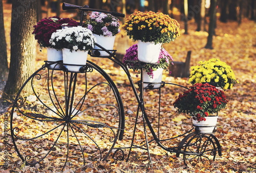 bicycle with flowers