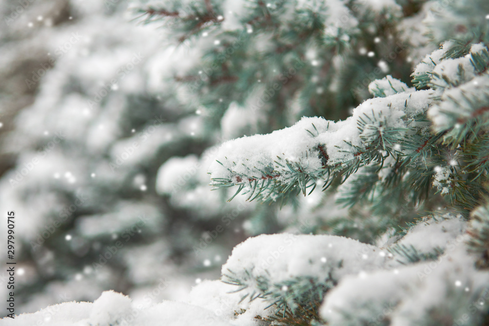 Beautiful winter landscape with snow covered trees Beautiful winter landscape with snow covered trees