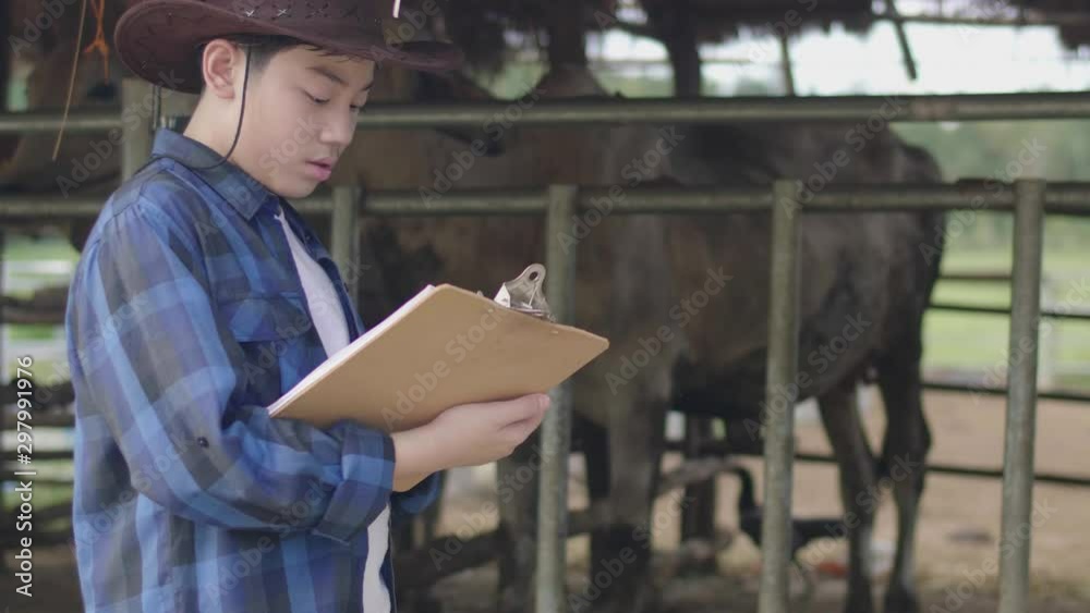 Asian boy working at farm. Teen in blue shirt working in cow farm. Asian boy working at farm. Teen in blue shirt working in cow farm.