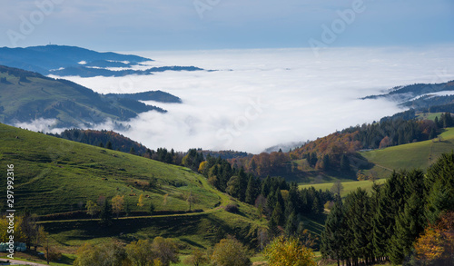 Nebelmeer im Schwarzwald  Blick Richtung M  nstertal