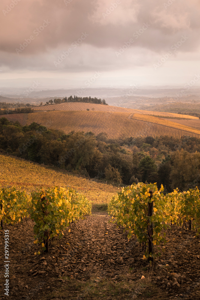 Chianti region in Florence Province, Tuscany, Italy
