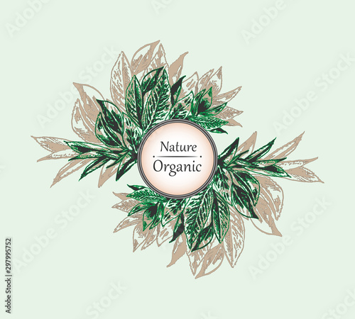 Natural organic label, badge or sticker with text for cosmetics, products, food, print, card, wrapping, menu. Hand drawn bio and eco product design with green leaves. Vector illustration.