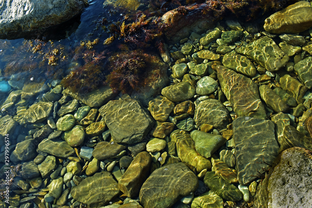 multi-colored sea stones under water near the shore