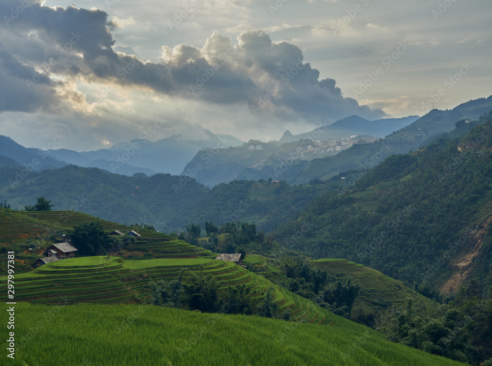 Obraz premium Rice fields on terraced of Sa Pa, YenBai, Vietnam. Rice fields prepare the harvest at Northwest Vietnam.Vietnam landscapes