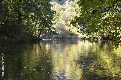 river in the forest with reflection of trees in the water 