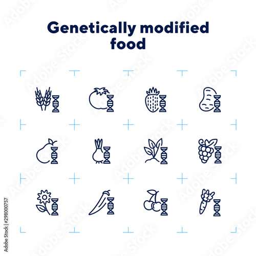 Genetically modified food line icon set. Gene, grain, fruit, vegetables. Food concept. Can be used for topics like genetics, agriculture, GM food