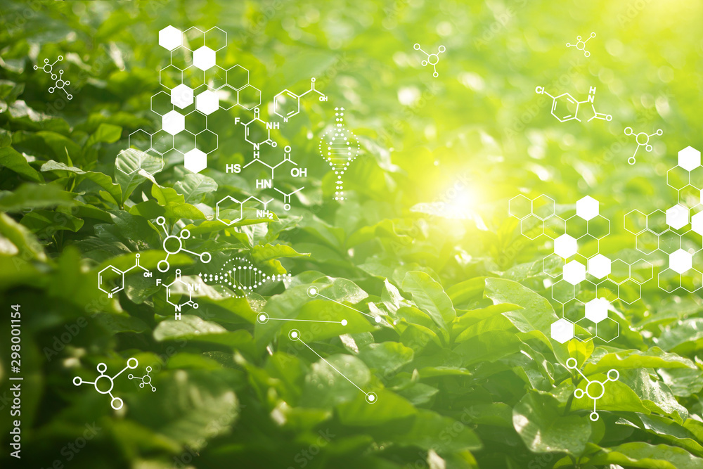 Biology laboratory nature and science, Plants with biochemistry