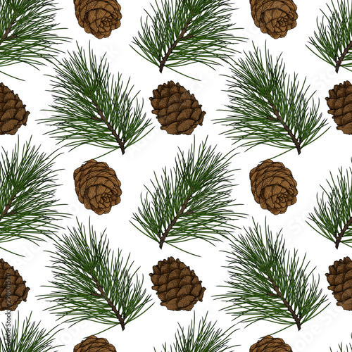 Cedar branch with cones seamless pattern. Illustration in engraving technique. Isolated on white background.