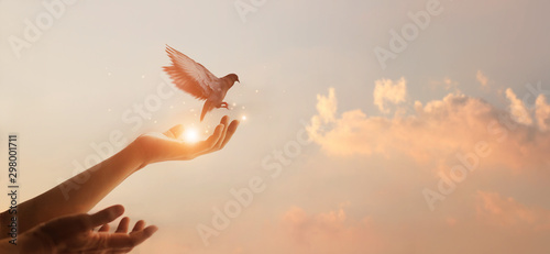 Fotografie, Tablou Woman praying and free bird enjoying nature on sunset background, hope concept