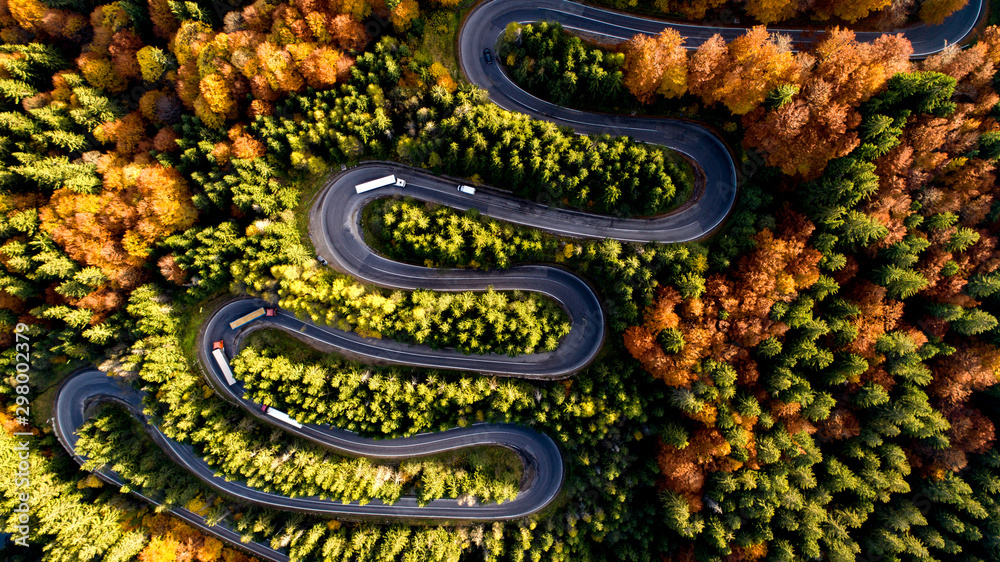 Top view of beautiful asphalt roadway and orange trees during autumn season. Curvy forest road Top view of beautiful asphalt roadway and orange trees during autumn season. Curvy forest road