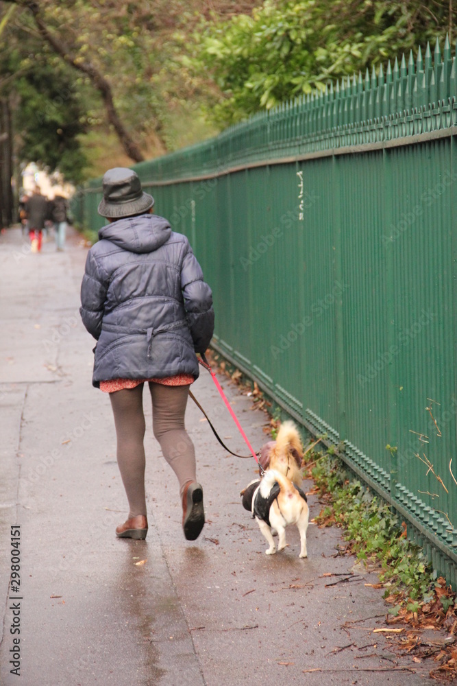 Woman walks with two dogs after rain near green fence