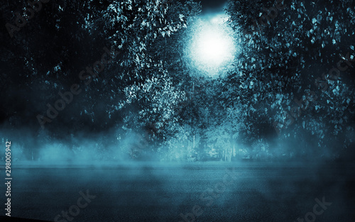 Empty dark background. Moonlight through the trees in the forest. Night view. Moonlight reflection on the pavement. Smoke, fog