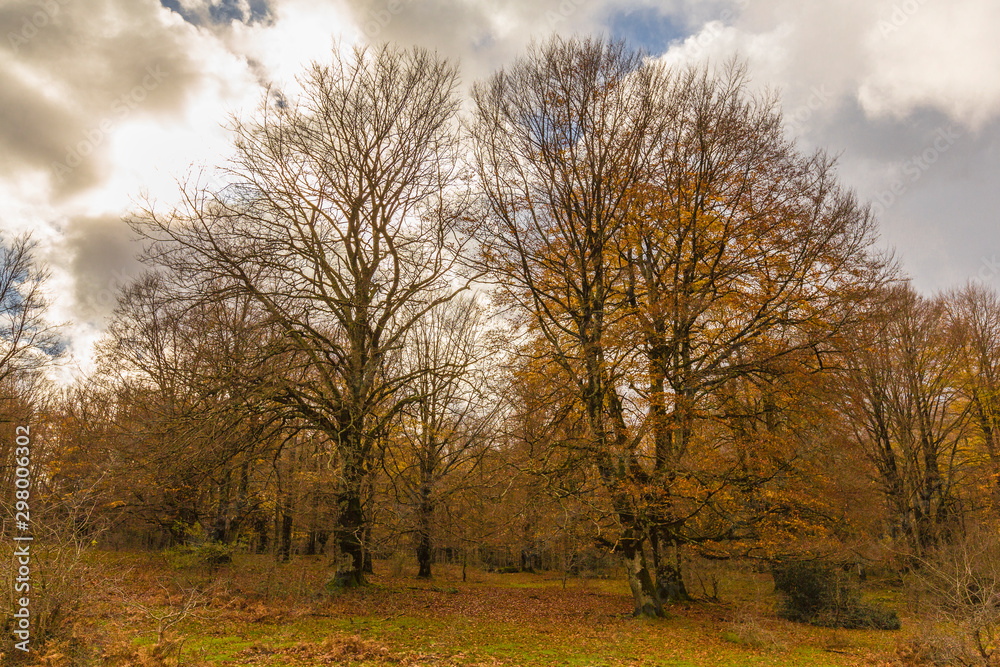 Autumn landscape in the mountain range of Urbasa. Navarra, Spain