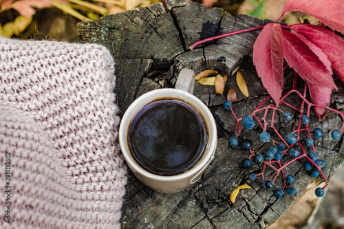 cup of coffee knitted scarf and autumn foliage on a dry old stump