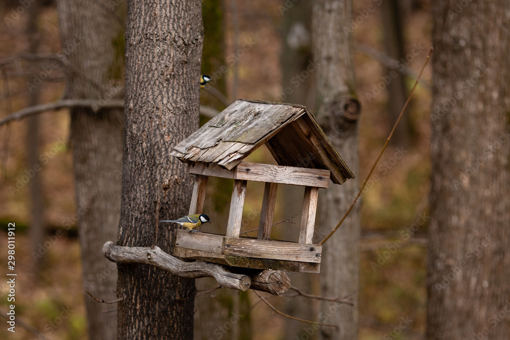 birdhouse on a tree