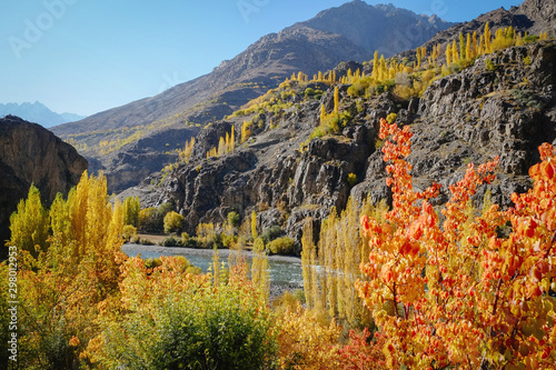 Beautiful landscape view of Gupis valley. Colorful trees in autumn season against Hindu Kush mountain range. Gilgit Baltistan, Pakistan. photo