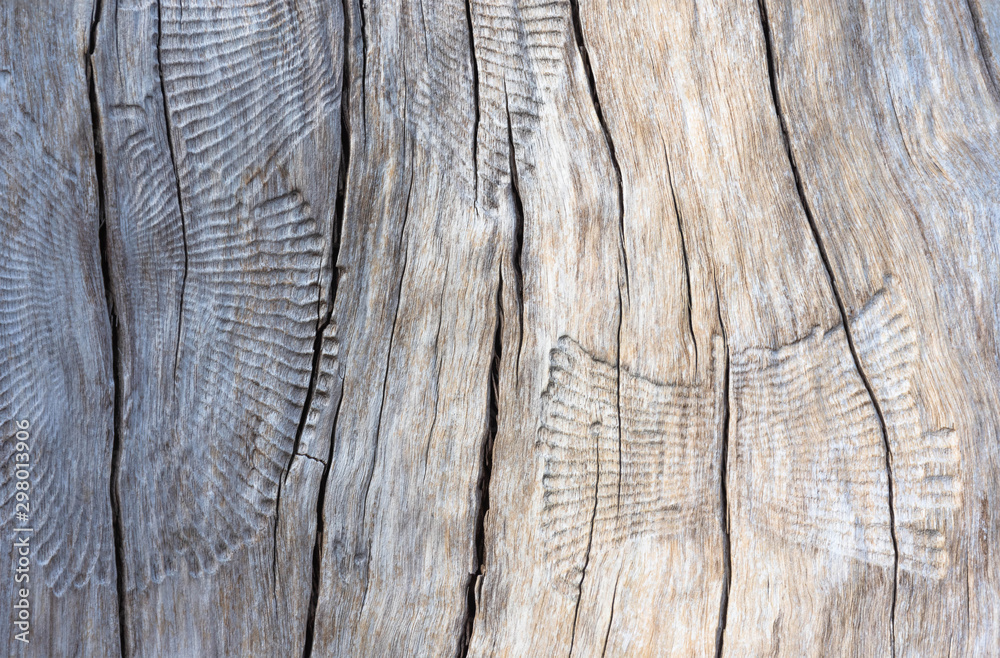 Wood surface of the sun cast long. The surface is cracked and brown. A beautiful pattern. Wood surface of the sun cast long. The surface is cracked and brown. A beautiful pattern.